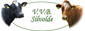 Logo VVB Silvolde